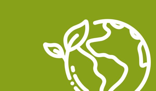 The World of Sustainable Innovation